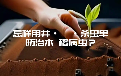 怎样用井·噻·杀虫单防治水 稻病虫？-会东网