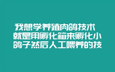 我想学养殖肉鸽技术 就是用孵化箱来孵化小鸽子然后人工喂养的技术 请知道的给个视频教程-会东网