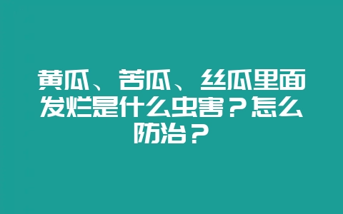 黄瓜、苦瓜、丝瓜里面发烂是什么虫害？怎么防治？-会东网