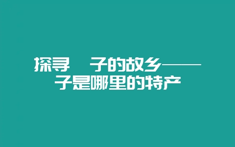 探寻粽子的故乡——粽子是哪里的特产-会东网