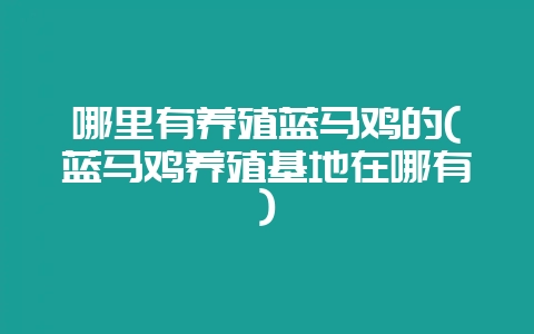 哪里有养殖蓝马鸡的(蓝马鸡养殖基地在哪有)-会东网