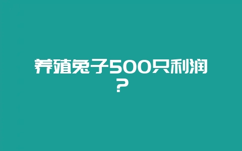 养殖兔子500只利润？-会东网