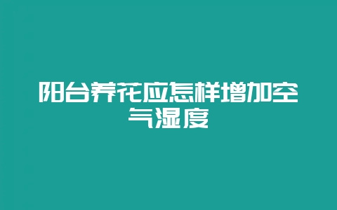 阳台养花应怎样增加空气湿度-会东网