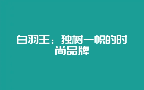 白羽王：独树一帜的时尚品牌-会东网