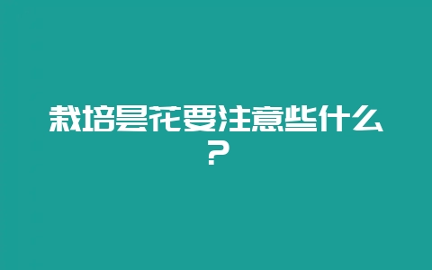 栽培昙花要注意些什么？-会东网