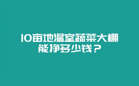 10亩地温室蔬菜大棚能挣多少钱?-会东网