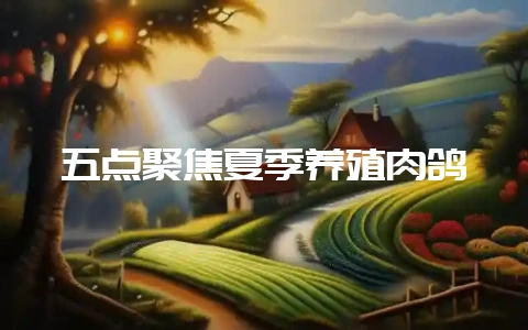 五点聚焦夏季养殖肉鸽-会东网