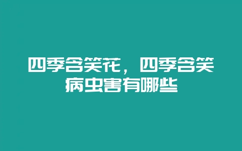 四季含笑花,四季含笑病虫害有哪些-会东网