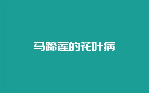 马蹄莲的花叶病-会东网