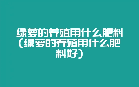 绿萝的养殖用什么肥料(绿萝的养殖用什么肥料好)-会东网