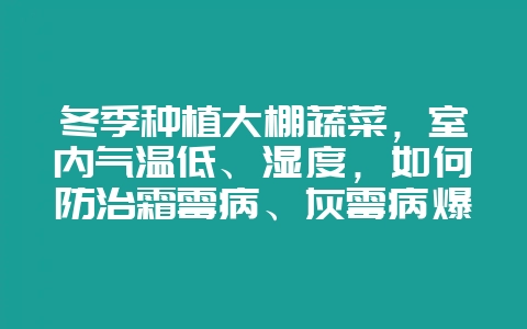 冬季种植大棚蔬菜，室内气温低、湿度，如何防治霜霉病、灰霉病爆发？-会东网