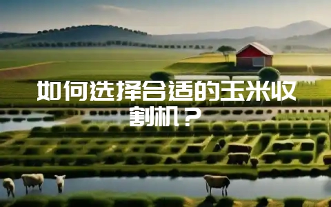 如何选择合适的玉米收割机？-会东网