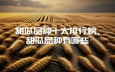 甜瓜品种十大排行榜，甜瓜品种有哪些-会东网
