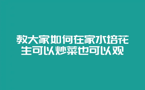 教大家如何在家水培花生可以炒菜也可以观-会东网