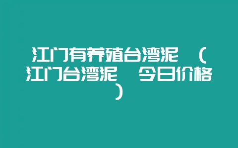 江门有养殖台湾泥鳅(江门台湾泥鳅今日价格)-会东网