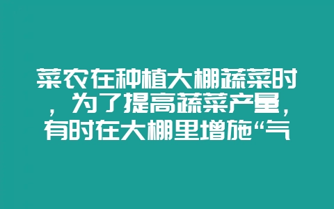 菜农在种植大棚蔬菜时，为了提高蔬菜产量，有时在大棚里增施“气肥”．这种“气肥”实质上就是（　　）A-会东网