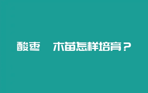 酸枣砧木苗怎样培育？-会东网