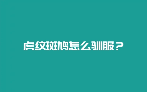 虎纹斑鸠怎么驯服？-会东网