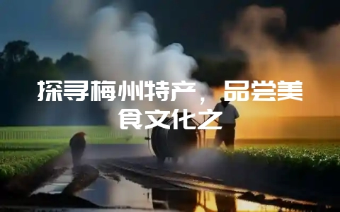 探寻梅州特产，品尝美食文化之魅-会东网