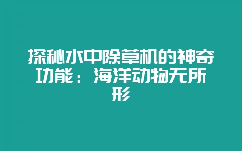探秘水中除草机的神奇功能：海洋动物无所遁形-会东网