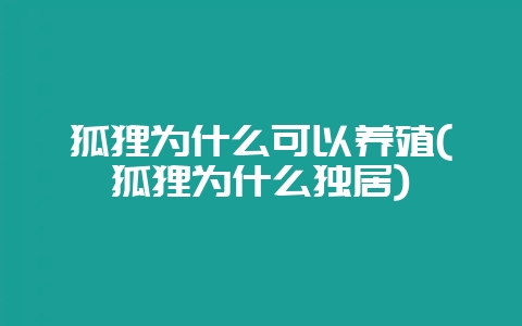 狐狸为什么可以养殖(狐狸为什么独居)-会东网