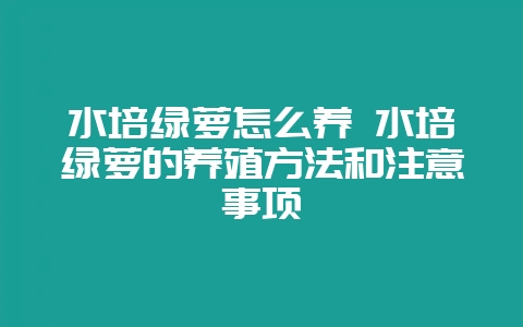 水培绿萝怎么养 水培绿萝的养殖方法和注意事项-会东网