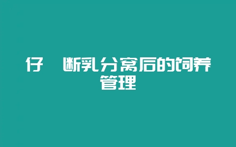 仔貂断乳分窝后的饲养管理-会东网