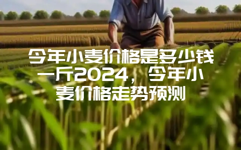今年小麦价格是多少钱一斤2024，今年小麦价格走势预测-会东网