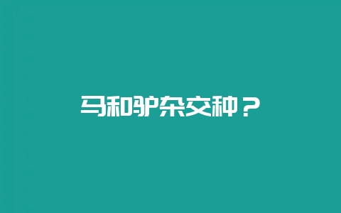 马和驴杂交种?插图 马和驴杂交种?插图
