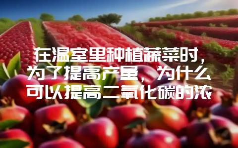 在温室里种植蔬菜时，为了提高产量，为什么可以提高二氧化碳的浓度？？-会东网