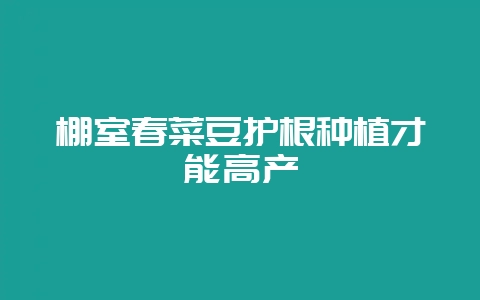 棚室春菜豆护根种植才能高产-会东网