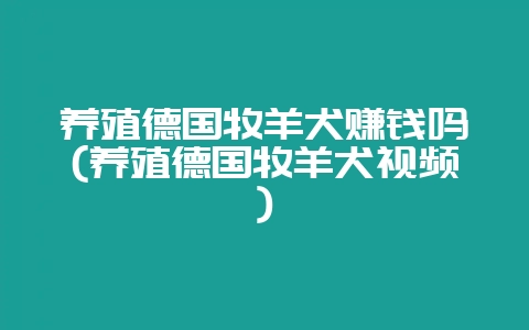 养殖德国牧羊犬赚钱吗(养殖德国牧羊犬视频)-会东网