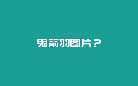鬼箭羽图片？-会东网