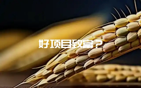好项目致富?-会东网