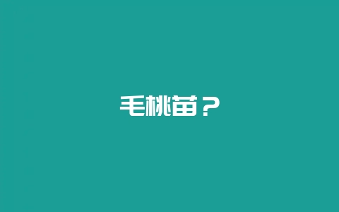 毛桃苗?-会东网