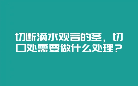 切断滴水观音的茎,切口处需要做什么处理?-会东网