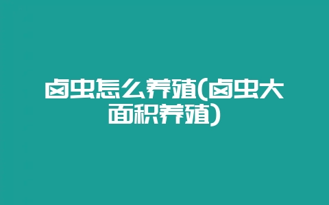 卤虫怎么养殖(卤虫大面积养殖)-会东网