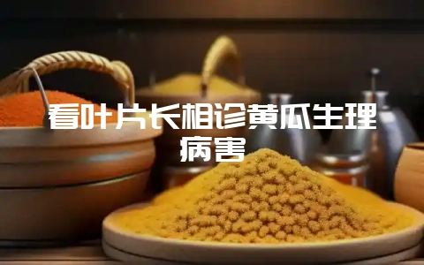 看叶片长相诊黄瓜生理病害-会东网