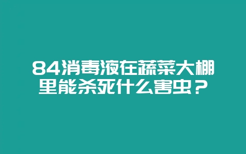 84消毒液在蔬菜大棚里能杀死什么害虫?-会东网