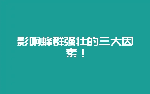 影响蜂群强壮的三大因素!-会东网