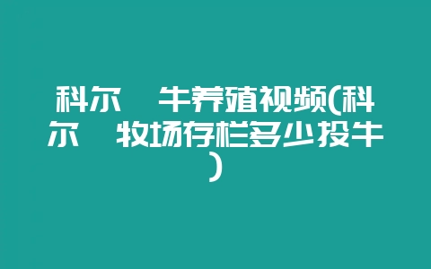 科尔沁牛养殖视频(科尔沁牧场存栏多少头牛)-会东网