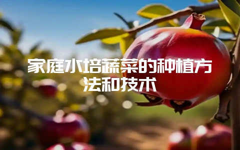 家庭水培蔬菜的种植方法和技术-会东网