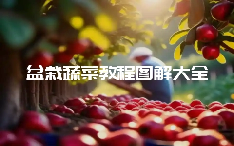 盆栽蔬菜教程图解大全-会东网
