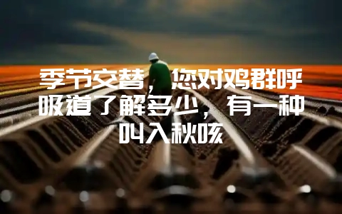 季节交替,您对鸡群呼吸道了解多少,有一种叫入秋咳-会东网
