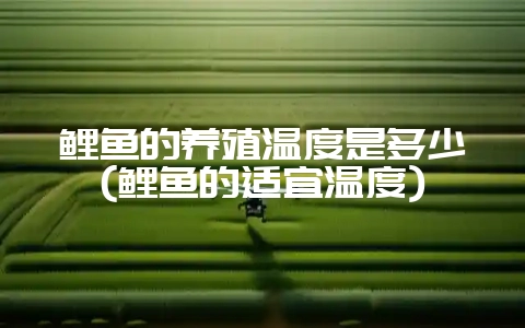 鲤鱼的养殖温度是多少(鲤鱼的适宜温度)-会东网