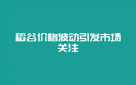稻谷价格波动引发市场关注-会东网