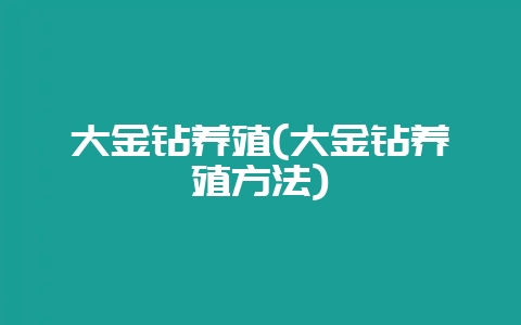 大金钻养殖(大金钻养殖方法)-会东网