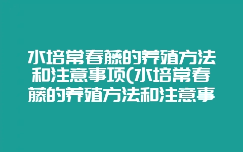 水培常春藤的养殖方法和注意事项(水培常春藤的养殖方法和注意事项有哪些)-会东网