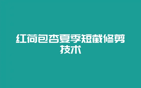 红荷包杏夏季短截修剪技术-会东网