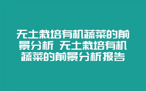 无土栽培有机蔬菜的前景分析 无土栽培有机蔬菜的前景分析报告-会东网
